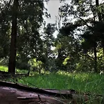 公寓 Casa Maria Quinta 4 