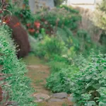 公寓 Casa Maria Quinta 4 