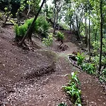 公寓 Casa Maria Quinta 4 