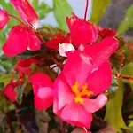 公寓 Casa Maria Quinta 4 