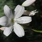 公寓 Casa Maria Quinta 4 