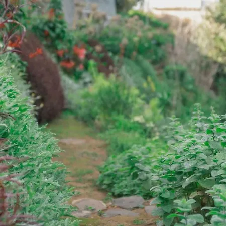 Апартаменты Casa Maria Quinta 4 