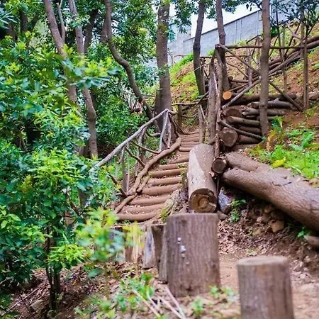 Апартаменты Casa Maria Quinta 4 