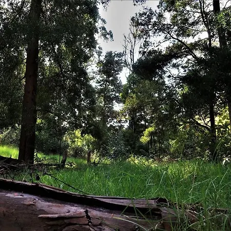 Appartement Casa Maria Quinta 4 