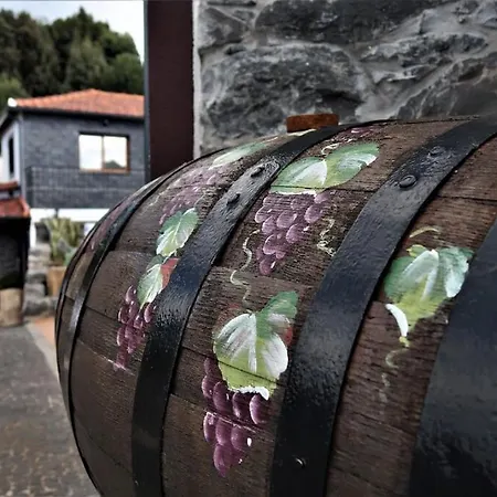 Casa Maria Quinta 4 Maria Quinta Appartamento Calheta (Madeira)