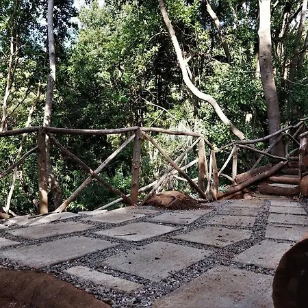 Casa Maria Quinta 4 