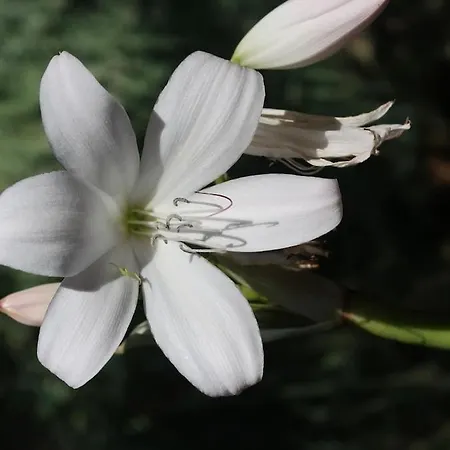 Appartement Casa Maria Quinta 4 
