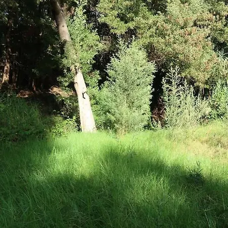 Appartement Casa Maria Quinta 4 