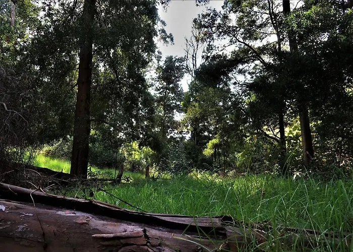 Appartamento Casa Maria Quinta 4 Maria Quinta Calheta (Madeira)