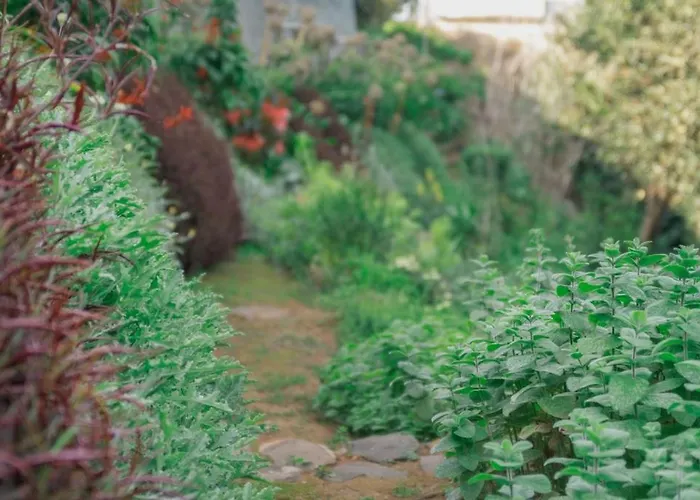 Apartmán Casa Maria Quinta 4 