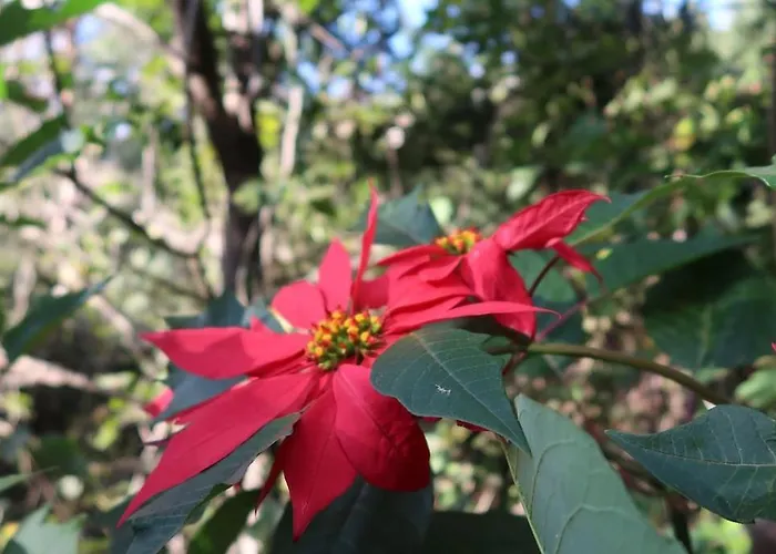 Apartmán Casa Maria Quinta 4 