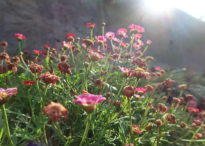 Casa Maria Quinta 4 Maria Quinta Appartamento