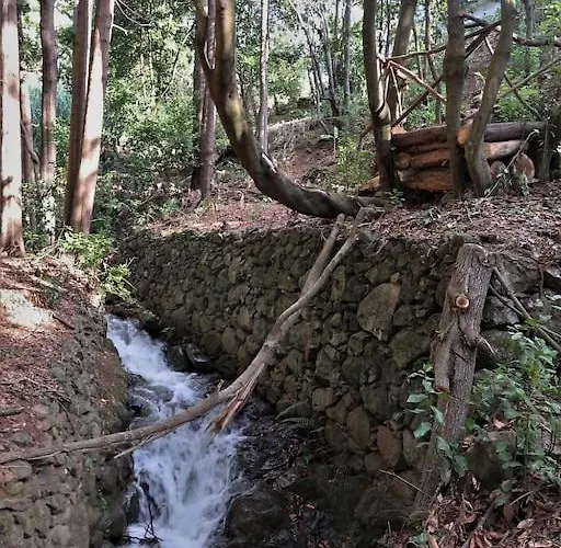 Appartamento Casa Maria Quinta 4 Maria Quinta Calheta (Madeira)