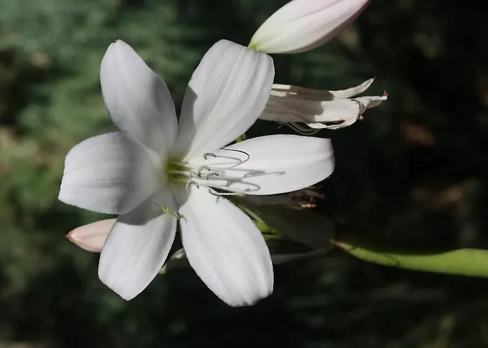 Apartmán Casa Maria Quinta 4 