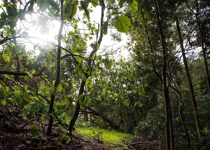 Casa Maria Quinta 4 Maria Quinta * Calheta (Madeira)