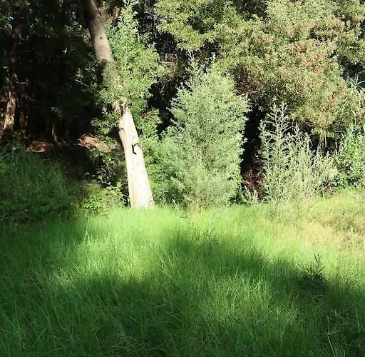 Appartamento Casa Maria Quinta 4 Maria Quinta *