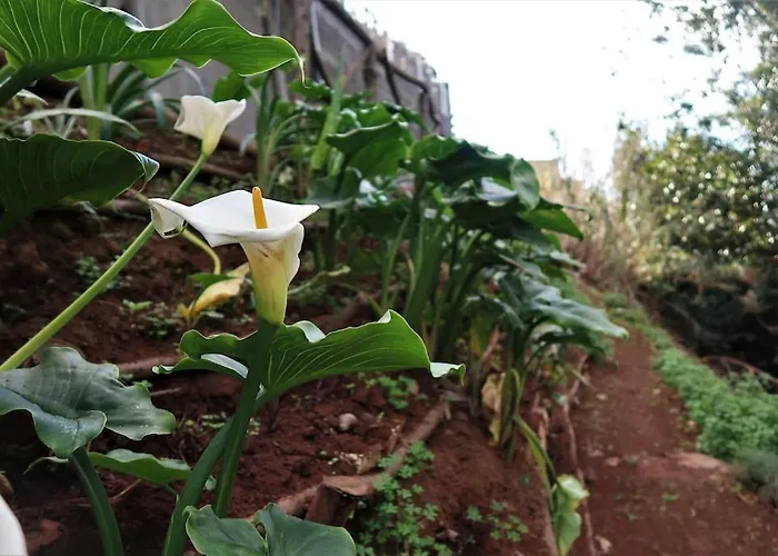 Apartmán Casa Maria Quinta 4 